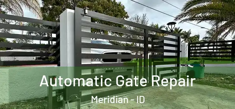 Automatic Gate Repair Meridian - ID