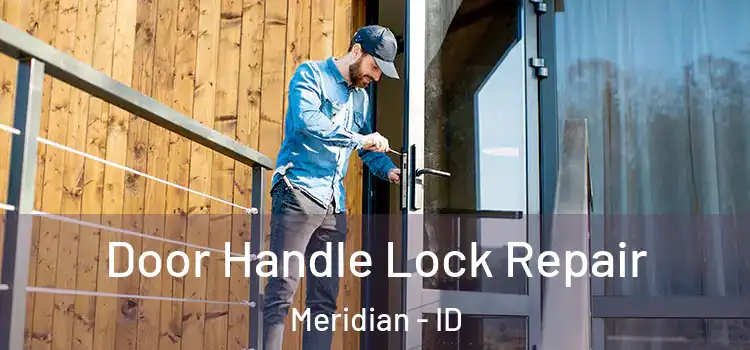 Door Handle Lock Repair Meridian - ID