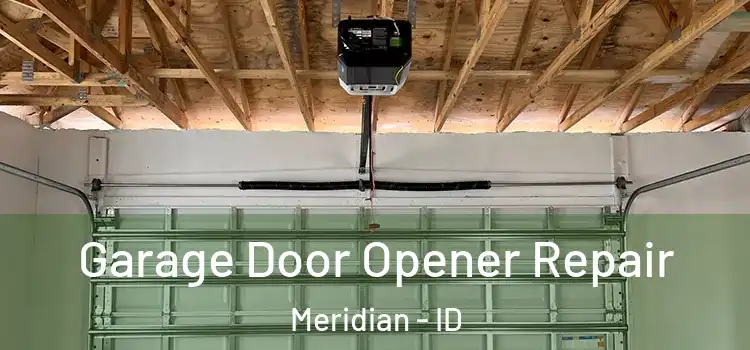  Garage Door Opener Repair Meridian - ID