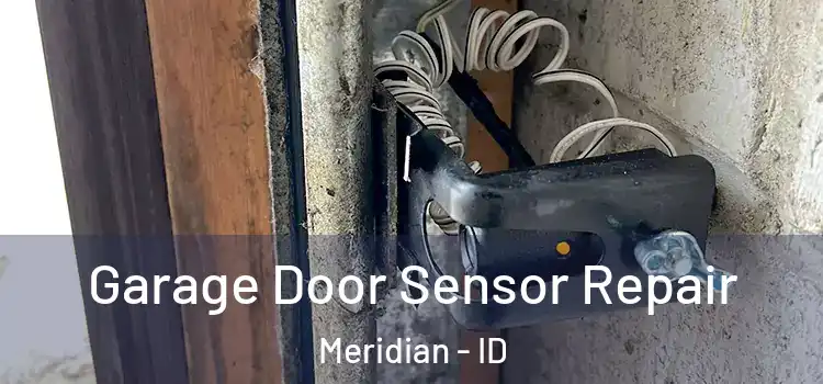 Garage Door Sensor Repair Meridian - ID