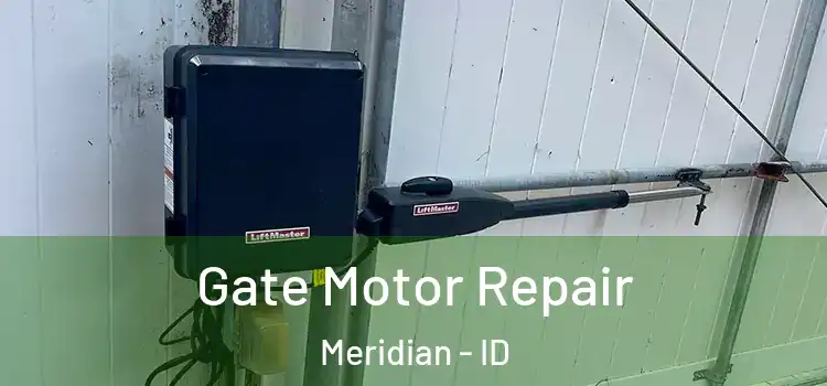 Gate Motor Repair Meridian - ID