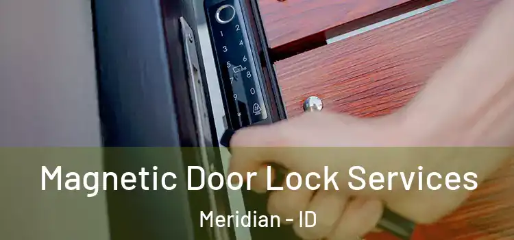 Magnetic Door Lock Services Meridian - ID